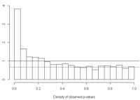 Estimation of the FDR